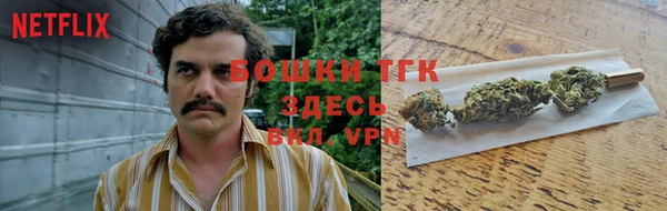 каннабис Аркадак
