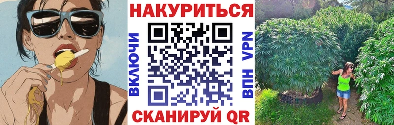 Канабис сатива Сланцы